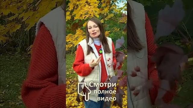 Волшебная таблетка или ПРОСТО УДОБРЕНИЕ?