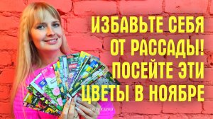 ИЗБАВЬТЕ СЕБЯ ОТ РАССАДЫ! Посейте ЭТИ ЦВЕТЫ ПОД ЗИМУ и БУДЕТ ВАМ СЧАСТЬЕ ВЕСНОЙ!