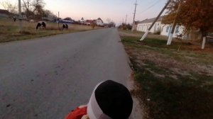 Погода Кубани. Прошлись по станице.