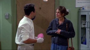 Английский. Полный разбор серий.S1Ep.2.4 (сериал Друзья/series Friends).