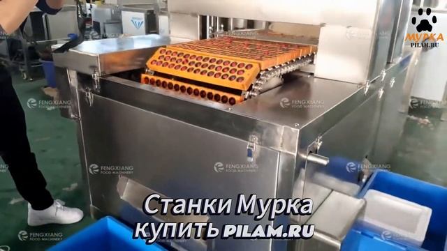 Мурка Высокоскоростной станок для удаления сердцевины у сливы купить FXP-108 pilam.ru