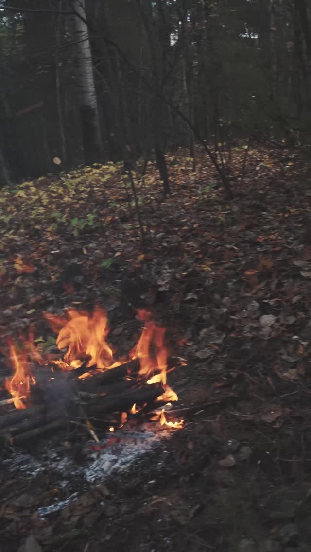 Чай у костра смотреть онлайн