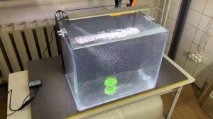 Аквариум с задним сампом. Если забьется слив, будет потоп?