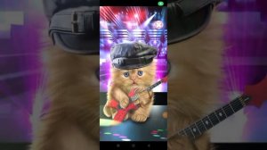 мой новый кот!