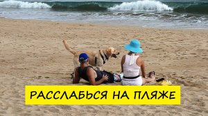 Вьетнам Нячанг погода сегодня 18 ноября 2024 года ❤️ Пасмурно