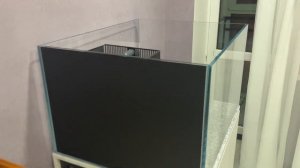 Новая жилплощадь. Морской аквариум 300 литров вместо 100.