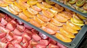ВЯЛЕНЫЕ ТОМАТЫ/Вяленые помидоры в сушилке и духовке