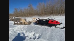 ТАЙГА-500 с ЛИФАН 20 ч.6  Заготовка дров