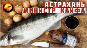 Астрахань! МИНИСТР КАЙФА / Рыбалка, Отдых, Кулинария