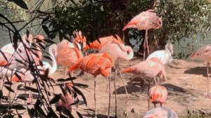 Москва Сентябрь 2024.mp4