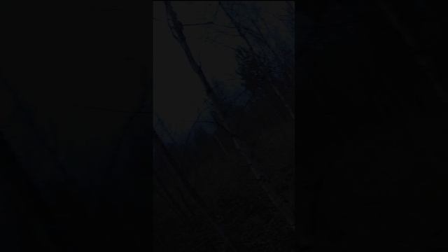 ПОПАЛ БЫ!? ОХОТА НА ЗАЙЦА С МЕЛКАШКОЙ ПО ЧЕРНОТРОПУ.