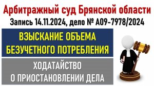 Заседание в Арбитражном суде Брянской области по безучетному потреблению