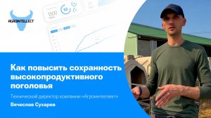 Как повысить сохранность высокопродуктивного поголовья на молочной ферме