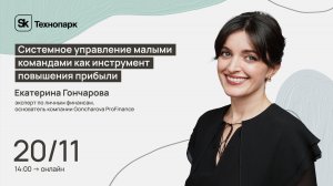 Системное управление малыми командами как инструмент повышения прибыли