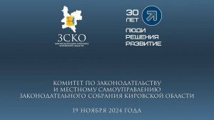 Заседание комитета по законодательству 19.11.2024