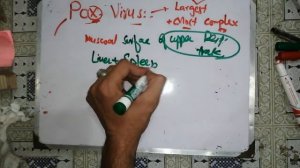 pox virus. pox virus replication, poxviruses, pox virus microbiology in hindi,poxvirus replication,