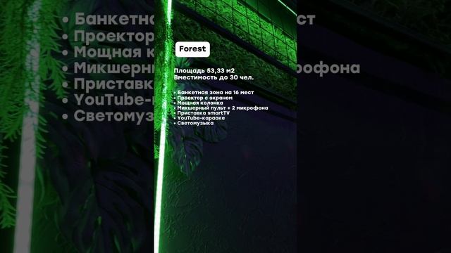 Лофт «Forest»