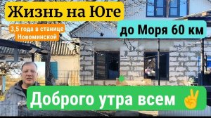 🌼 Утренний обзор нашего участка. Станица Новоминская.