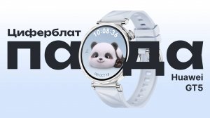 Как выглядит новый циферблат Панда / Huawei GT 5