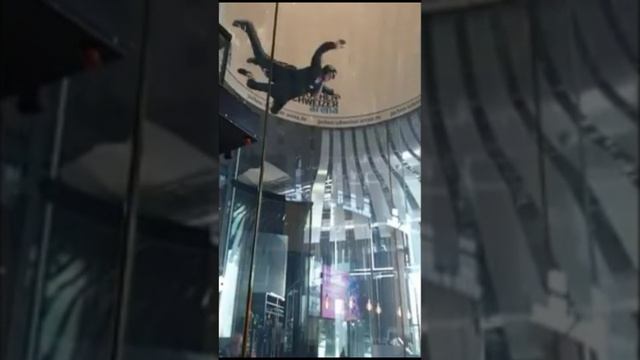 Виртуальная тренировка прыжка с горы-развлекательное шоу смотреть онлайн