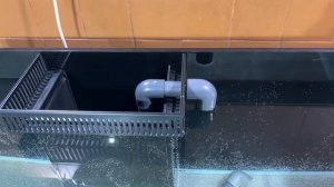 Обзор и проверка морского аквариума 110х60х50 (качество швов, аварийка и возврат, сливная гребенка)