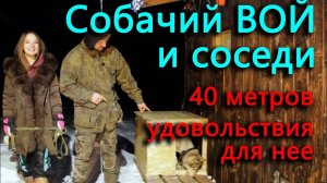 Как соседям собака_ Растяжка через весь участок и новый дом для собаки.