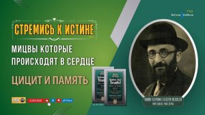 𝟖𝟵. Стремись к истине | Цицит и память