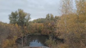 Поплавочная РЫБАЛКА на ЛЕСНОМ ОЗЕРЕ! Клёв будет или это закрытие сезона?