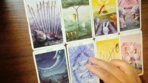 Европа без белых?