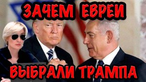 ЗАЧЕМ ЕВРЕИ ВЫБРАЛИ ТРАМПА