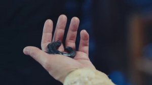 Принцесса Вэйян 1 сезон 50 серия