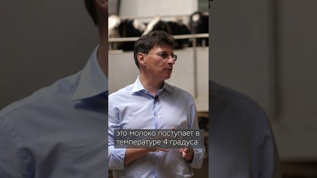 Для чего нужно охладить свежее молоко?
