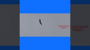 Су-57 рвет небо Китая и летает как НЛО