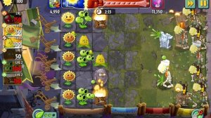 SVID_20241118_090122_1.mp4