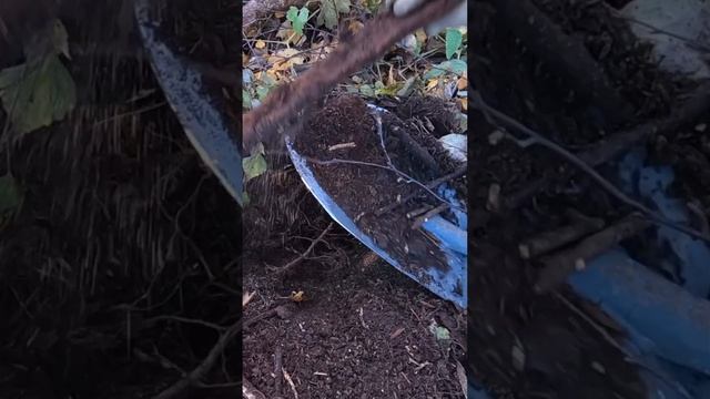 Копаю металл, находки радуют! #металлоискатель #копметаллолома #metaldetecting