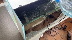 Аквариум с задним сампом. Что будет если забьется слив в самп?