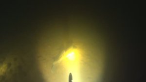 Подводная охота с Алексеем на речке (2.10.2024)