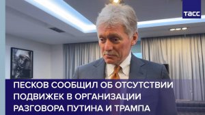 Песков сообщил об отсутствии подвижек в организации разговора Путина и Трампа