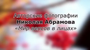 «Мир вепсов в лицах»