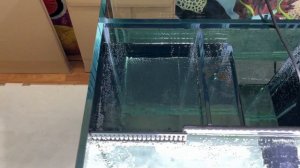 Морской аквариум с задним сампом 56*56*45 см для @AndreyPolikhin. Классная емкость автодолива.