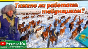 Как получить первоклассный табун? Что важно знать? Бизнес в коневодстве. Казахские лошади зимой