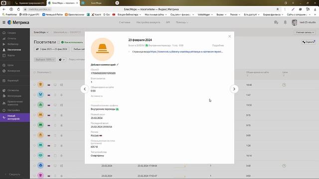 Метрика и боты БлесМорк смотреть онлайн