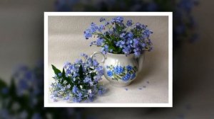 натюрморт с незабуткой