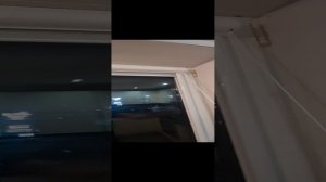 Зебра день и ночь