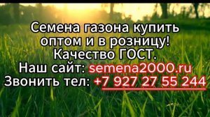 Семена газона оптом и в розницу! Качество ГОСТ.