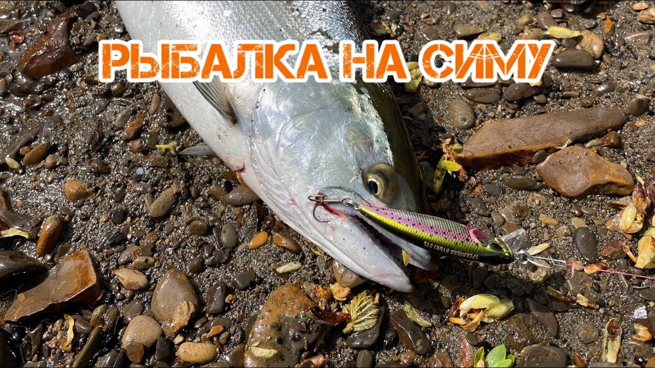 Рыбалка на симу. Ремонт лодки на реке. Cherrysalmon fishing. Boat repairs. смотреть онлайн