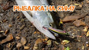 Рыбалка на симу. Ремонт лодки на реке. Cherrysalmon fishing. Boat repairs.