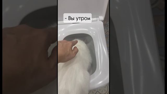 вы с подругой решили отдохнуть