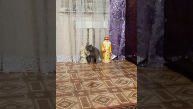 моя кошка уже ждëт и ищет новый год смотреть онлайн