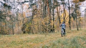 Как же хорошо в лесу)